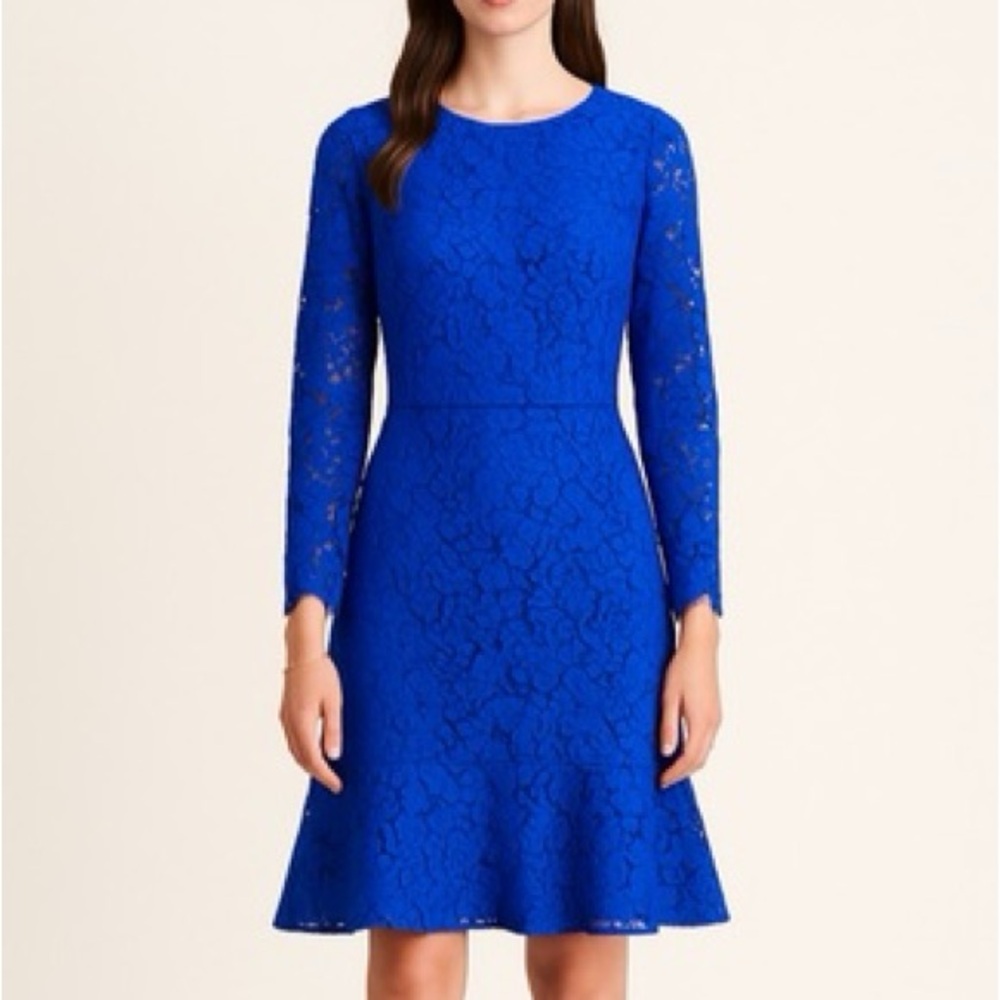 J. Crew Fit and Flare Lace Long Sleeve Dress in Ocean Blue